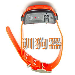 遥控充电防水训狗器 现代宠物训练的智能之选