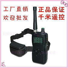 脖套与止吠器 狗狗行为纠正的科学与否